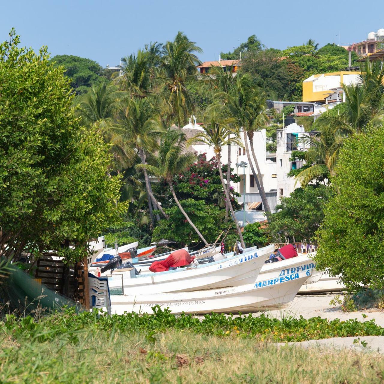 Nomad Beach House Hotel ปูแอร์โตเอสกอนดิโด ภายนอก รูปภาพ
